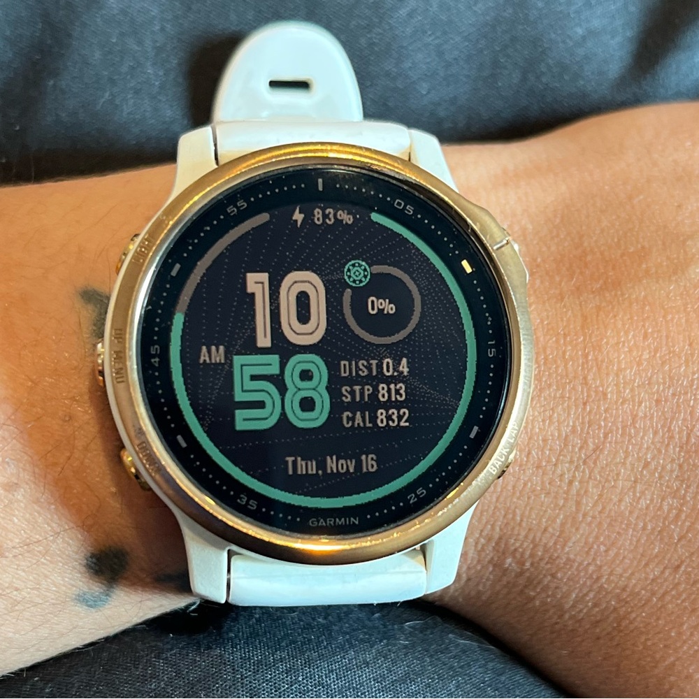 Fenix 6S Pro